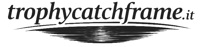 Catch Frame Logo scuro